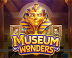 Museum Wonders