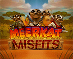 Meerkat Misfits